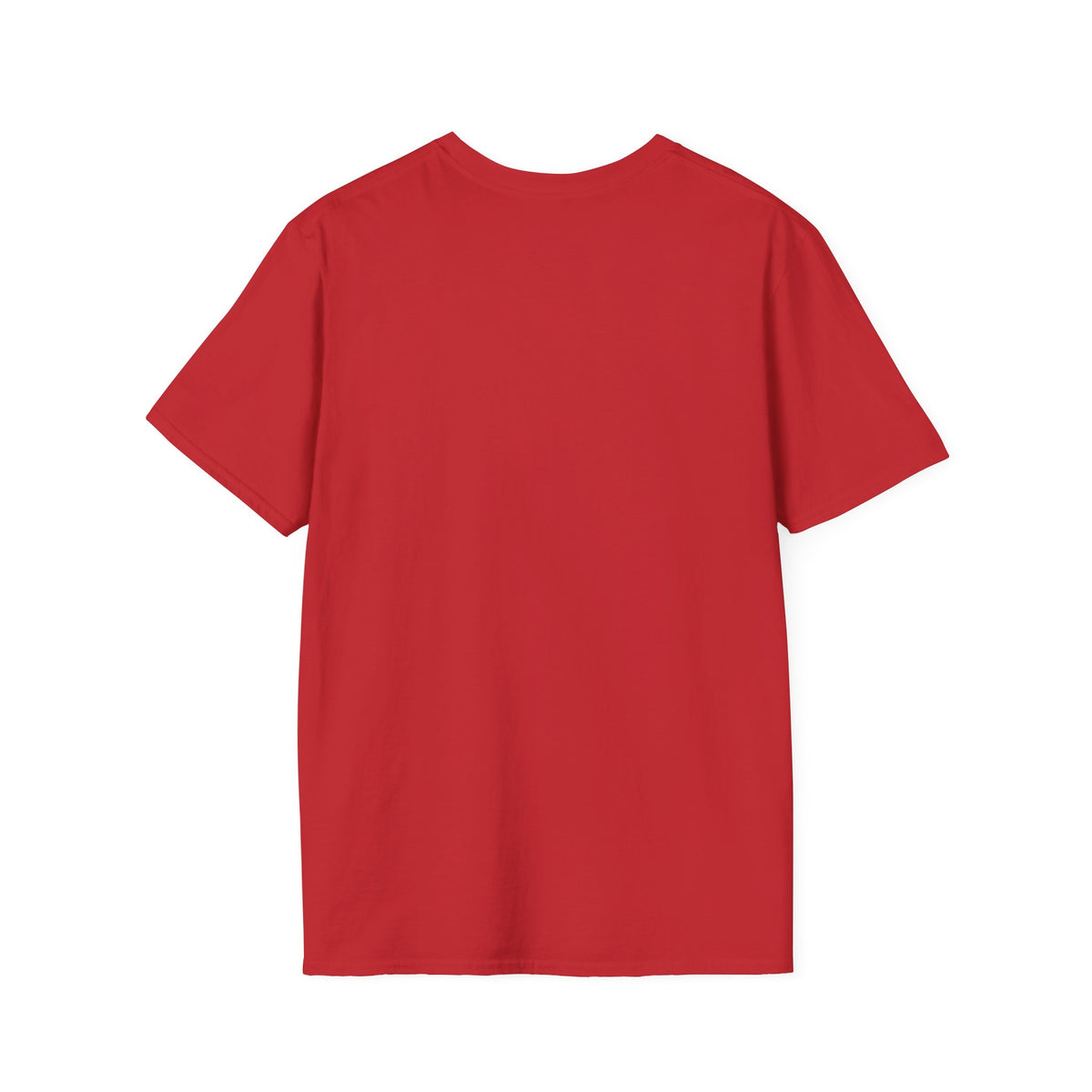 Physical Therapist T-Shirt — Proud PT Graphic Tee (Educate, Treat, Empower)