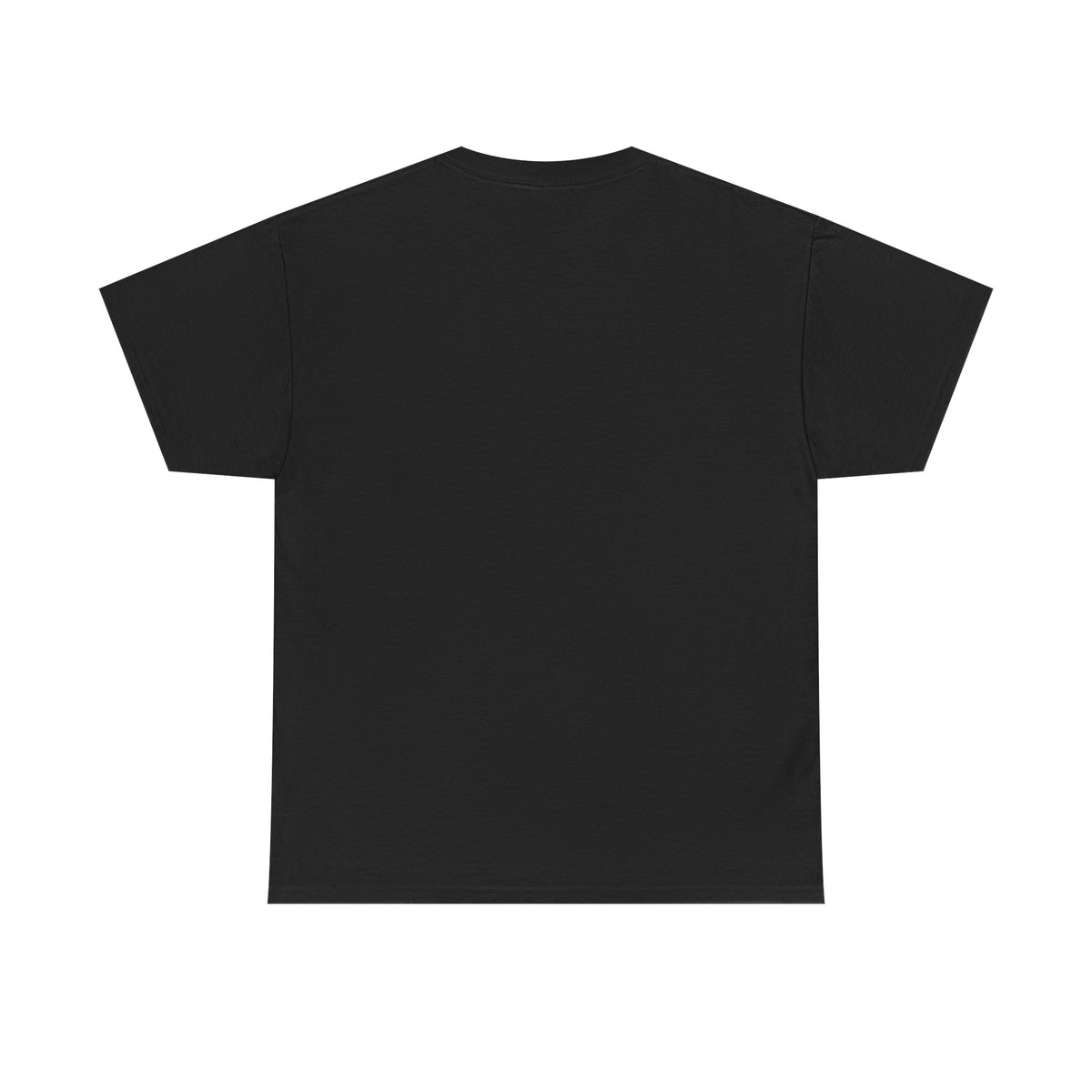 Stay Calm I’ve Got This EMT Paramedic T-Shirt